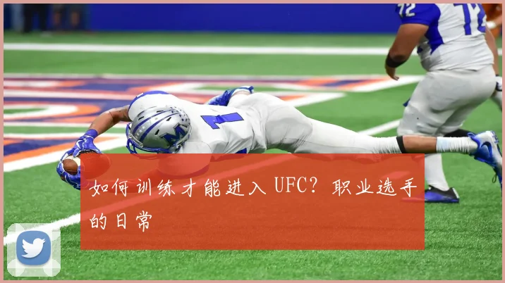 如何训练才能进入 UFC？职业选手的日常