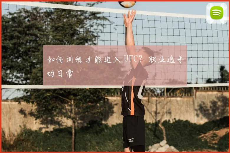 如何训练才能进入 UFC？职业选手的日常